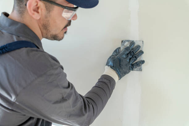 Best Mold-Related Health Consultation  in Sands Point, NY