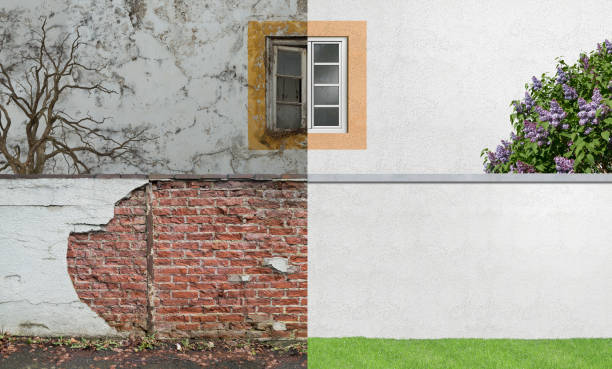 Best Mold Prevention Services  in Sands Point, NY